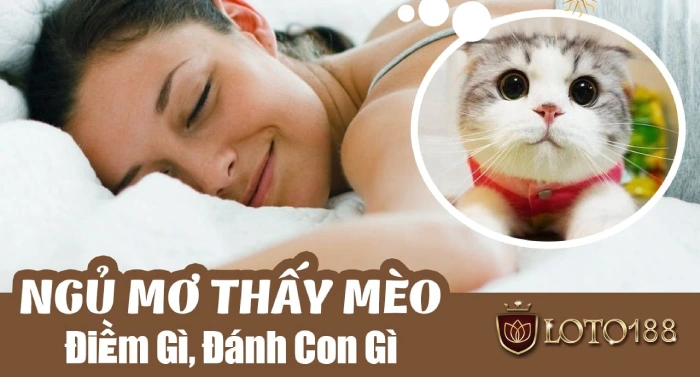 Nằm mơ thấy mèo đánh con số nào phù hợp nhất? 
